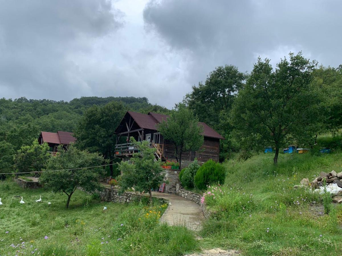 Origjina Farm Villa Permet Exterior photo